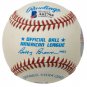 Ted Williams Red Sox Signed OAL Painted Ron Lewis Baseball BAS A62794