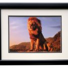 2019 Lion King Framed Mufasa Young Simba 11x14 Commemorative Photo