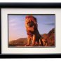 2019 Lion King Framed Mufasa Young Simba 11x14 Commemorative Photo