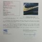 Kobe Bryant Signed 2015/16 Game Issued Nike Zoom Kobe X Elite Xmas Shoes JSA