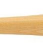 McGraw, Schmidt, Rose & More Phillies Greats Signed Cooperstown Baseball Bat BAS