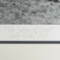 Babe Ruth Framed The Sultan of Swat 16x22 Historical Photo Archive LE Giclee