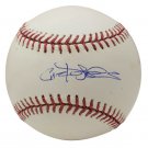 Carlos Pena Tampa Bay Rays Signed Official MLB Baseball BAS S37461