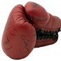 Boxing & Sports Greats Multi Signed Everlast Glove BAS LOA A21672