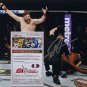 Roy Nelson Signed UFC MMA 11x14 Fight Photo vs Stefan Struve Photo SI