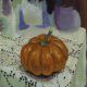 Baby Pumpkin