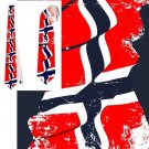 Necktie Norway flag national patriotic pride football fan politic politology parlament mp