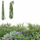 Necktie  grass green