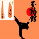 Necktie   karate kung fu sport china world sport