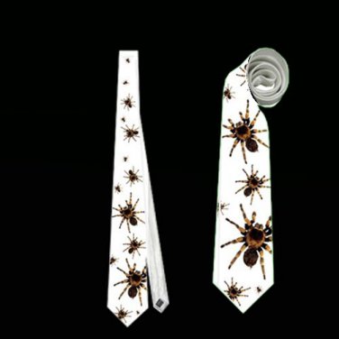 Necktie spider