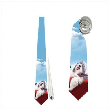 Necktie shagy dog bearded collie