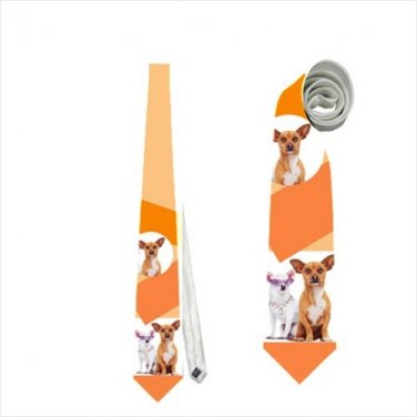 Necktie chihuahua dog