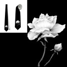 Necktie funeral white rose