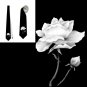 Necktie funeral white rose