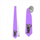 Necktie british shorthair cat