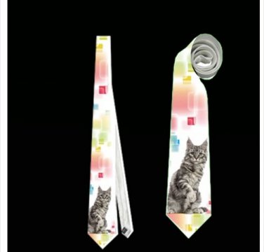 Necktie maine coon cat