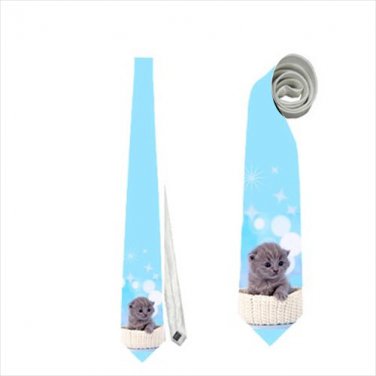 Necktie cute kitten