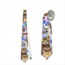 Necktie meow kittens cats