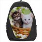 cat kitten backpack