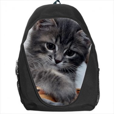 cat kitten backpack