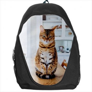 tabby cat kitten backpack