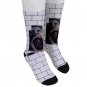 Socks screaming face the wall