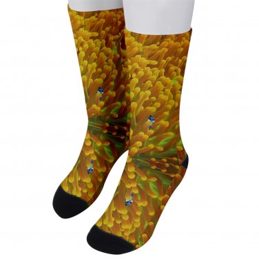 Socks men's crew finding dory anemonia