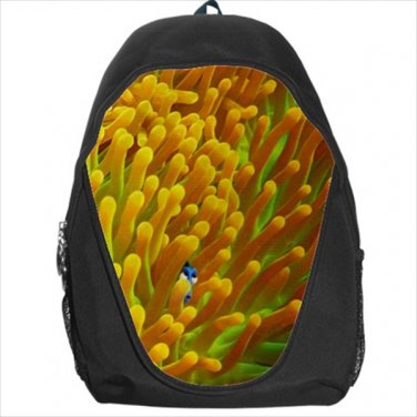 Anemonia dory backpack bookbag