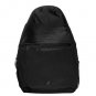 Lion king scar villain brother backpack