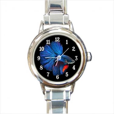 Italian Charm Watch Witch betta fish Aquaristic