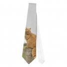 Necktie Tie ginger cat