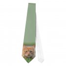 Necktie Tie ginger cat