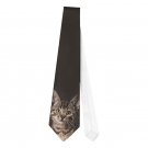 Necktie Tie tabby cat