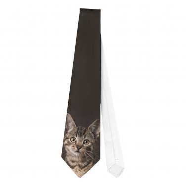 Necktie Tie tabby cat