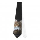 Necktie Tie tabby cat angora