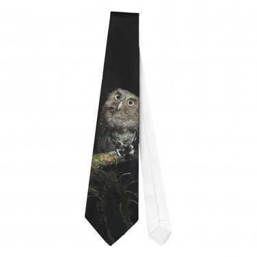 Necktie Tie owl wild prey bird