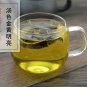 Huang Bo 500g Amur Corktree Bark Cortex Phellodendri
