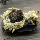 Xue Lian Hua 2pcs (About 30g) Snow Lotus Herb Herba Saussureae Involucratae