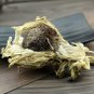 Xue Lian Hua 2pcs (About 30g) Snow Lotus Herb Herba Saussureae Involucratae
