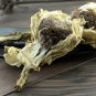 Xue Lian Hua 2pcs (About 30g) Snow Lotus Herb Herba Saussureae Involucratae