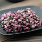 Tao Hua 500g Peach Flower Flos Persicae Peach Blossom