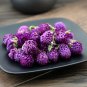 Qian Ri Hong 500g Globeamaranth Flower Flos Gomphrenae