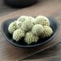 Lv Luo Hua 500g Green Flower Scindapsus Aureus Edgeworthia Chrysantha