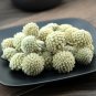 Lv Luo Hua 500g Green Flower Scindapsus Aureus Edgeworthia Chrysantha