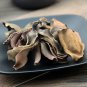 Hou Po Hua 500g Flower of Official Magnolia Flos Magnoliae Officinalis