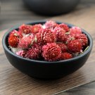 Hong Qiao Mei 500g Globeamaranth Flower Flos Gomphrenae