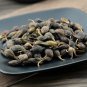 Lian Qiao 500g Weeping Forsythiae Capsule Fructus Forsythiae
