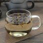 Lian Qiao 500g Weeping Forsythiae Capsule Fructus Forsythiae