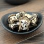 Yu Zhi Zi 500g Akebia Fruit Fructus Akebiae Fruit of Fiverleaf Akebia
