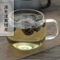 Yi Kou Zhong 500g Eucalyptus Globulus Labill Tasmanian Bluegum